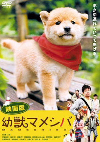 Mameshiba Cubbish Puppy