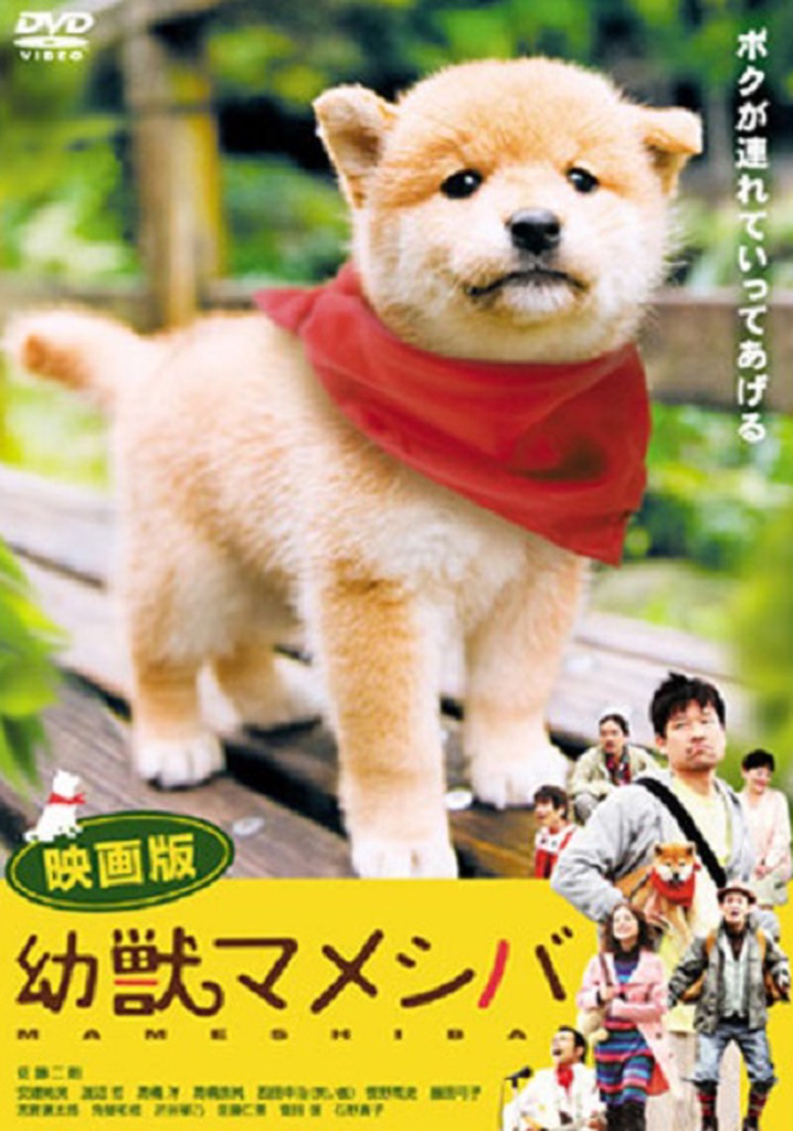 Mameshiba Cubbish Puppy