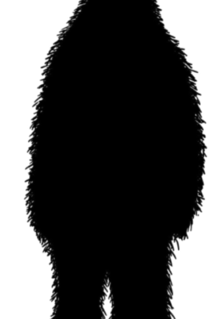 Hair of the Sasquatch
