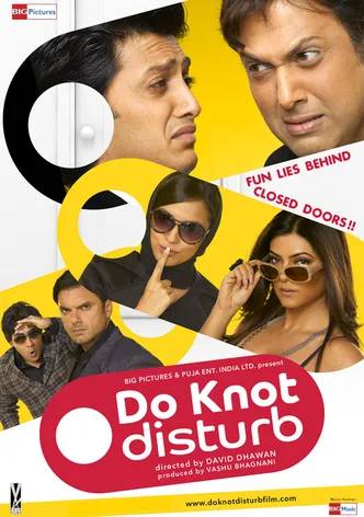 Do Knot Disturb poster