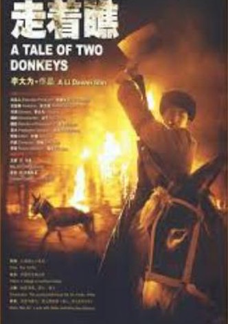 A Tale of Two Donkeys