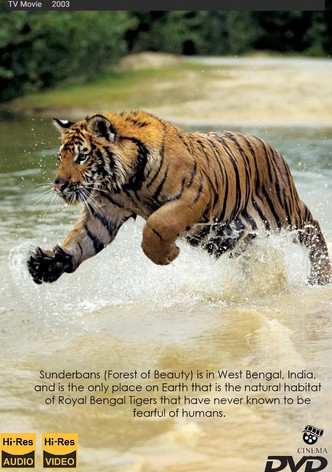 The Last Maneater: Killer Tigers of India