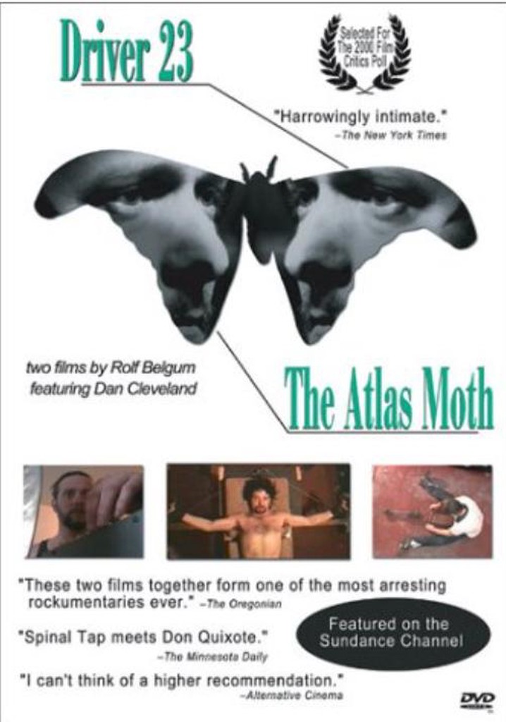 The Atlas Moth