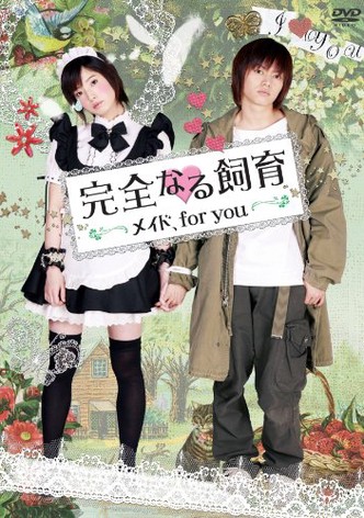 Perfect Education: A Maid for You