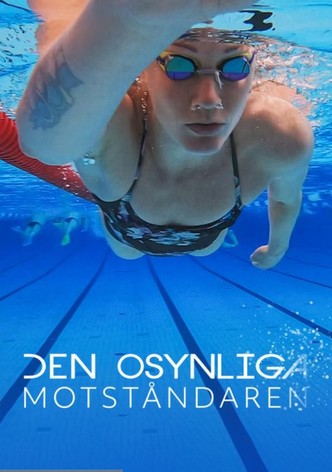 The Invisible Adversary