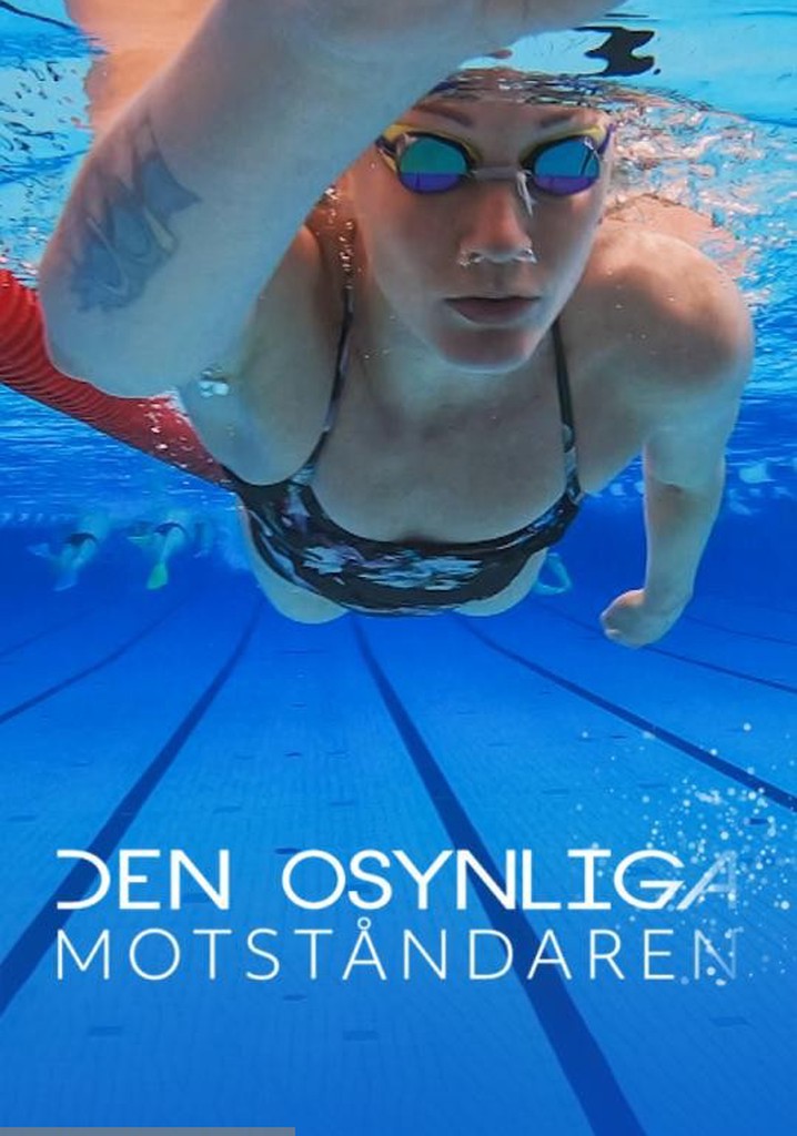 The Invisible Adversary