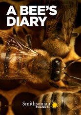 A Bee's Diary