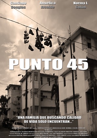 Punto 45
