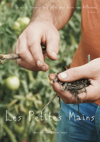 Les petites mains