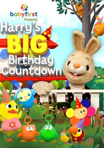 Harry's Big Birthday Countdown