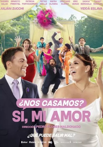 Vamos Casar!