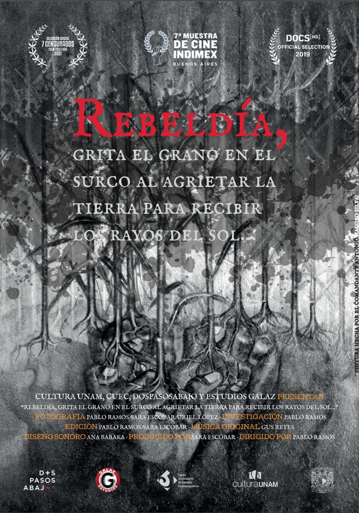 Rebeldía, grita el grano en el surco al agrietar la tierra para recibir los rayos del sol