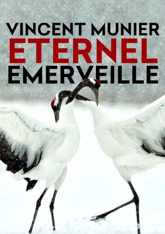 Vincent Munier, éternel émerveillé