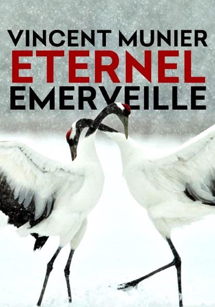 Vincent Munier, éternel émerveillé