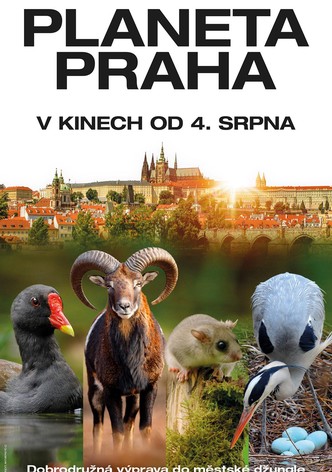 Wild Prague