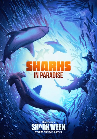 Sharks in Paradise