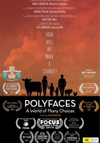Polyfaces