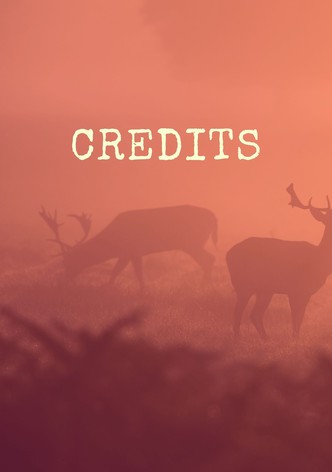 Credits