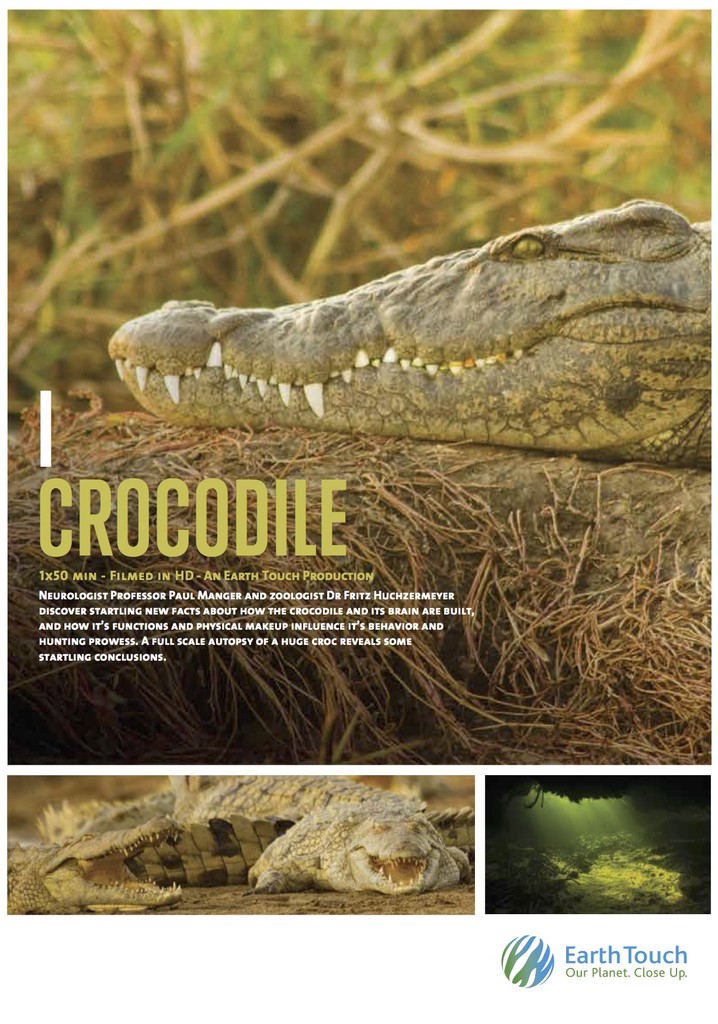 iCrocodile
