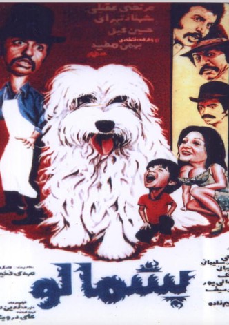 Pashmaloo