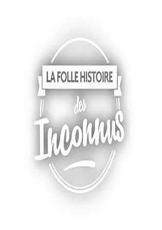 La folle histoire des Inconnus