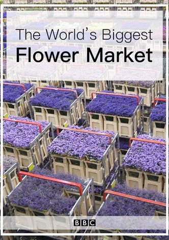The World's Biggest Flower Market