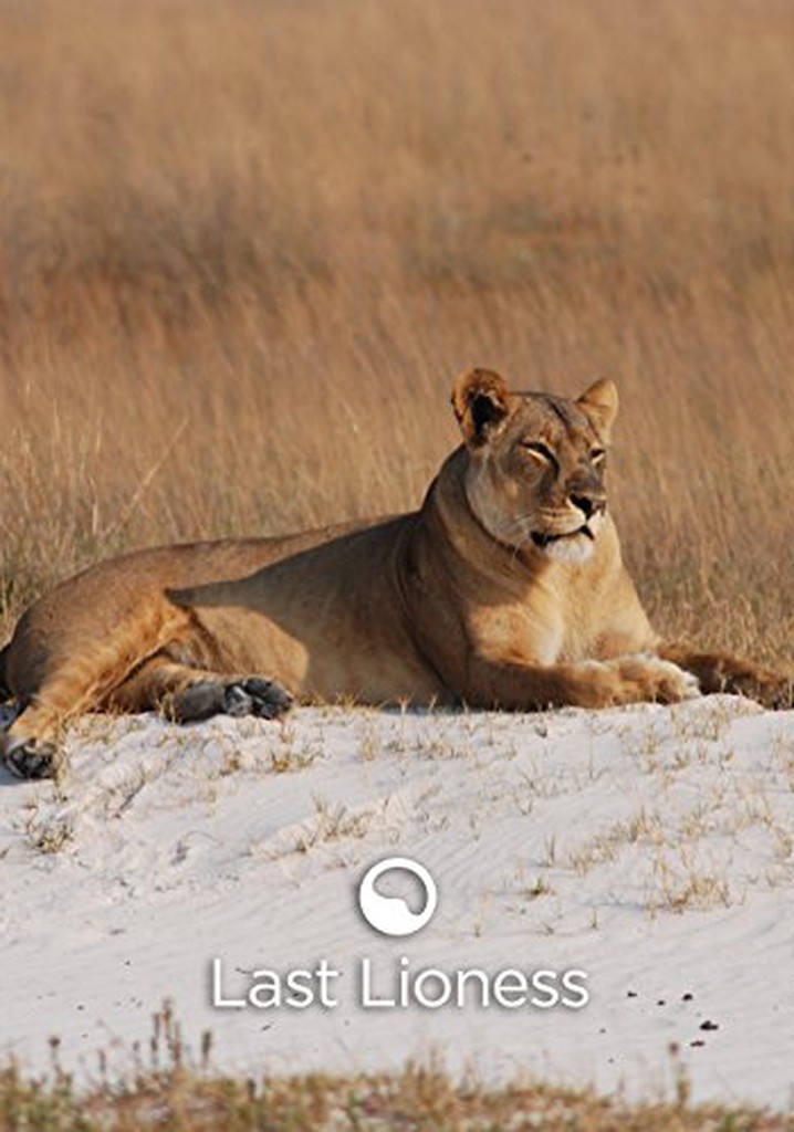 The Last Lioness