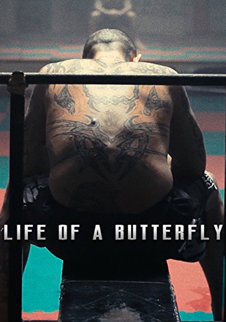 Life of a Butterfly