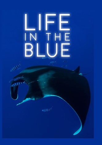 Life in the Blue
