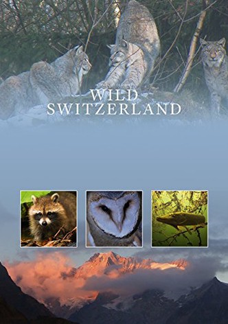 Wilde Schweiz