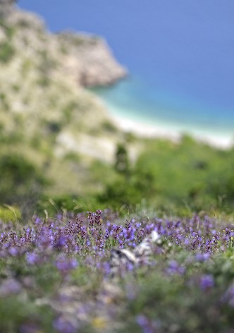 Küstenparadies Kroatien - Kvarner Bucht