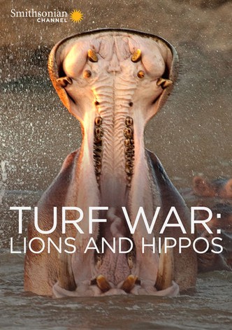Turf War: Lions and Hippos