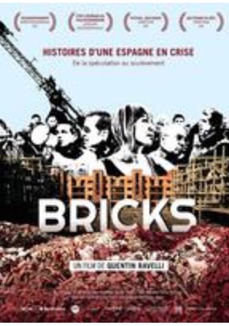 Bricks