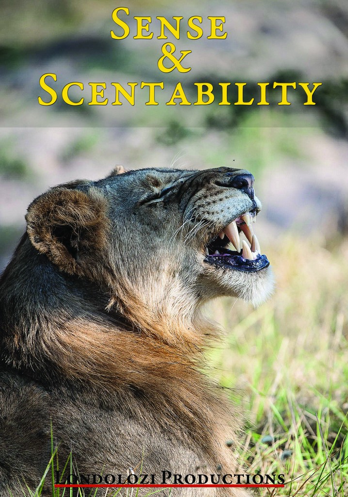 Sense & Scentability
