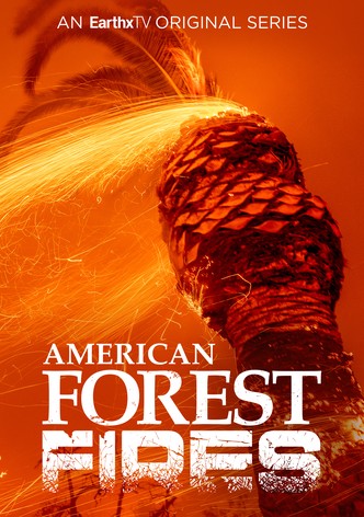 American Forest Fires: The Untold Story