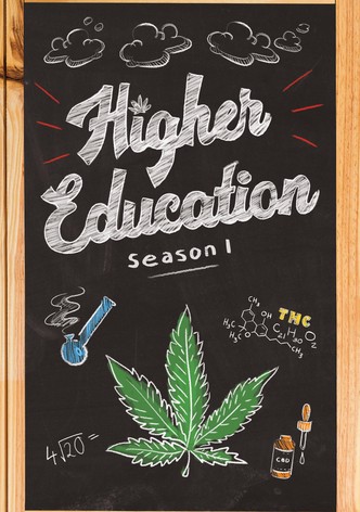 Higher Education