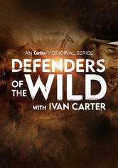 Defenders of the Wild
