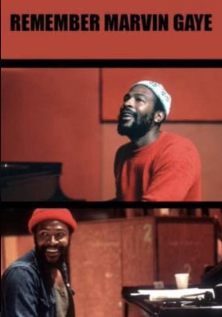Remember Marvin Gaye