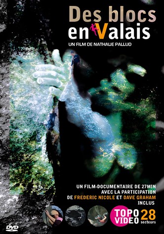 Des blocs en Valais