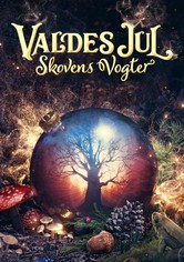 Valdes jul