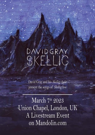 David Gray: Skellig from Union Chapel