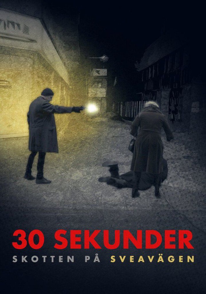 30 sekunder: Skotten på Sveavägen