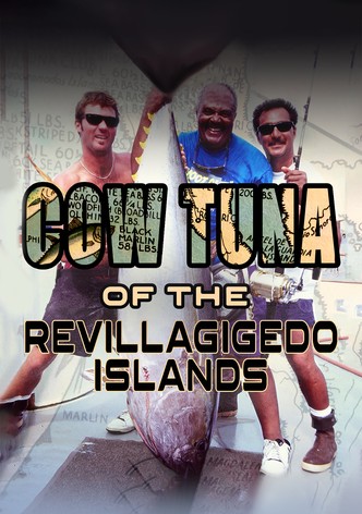 Cow Tuna at the Revillagigedo Islands