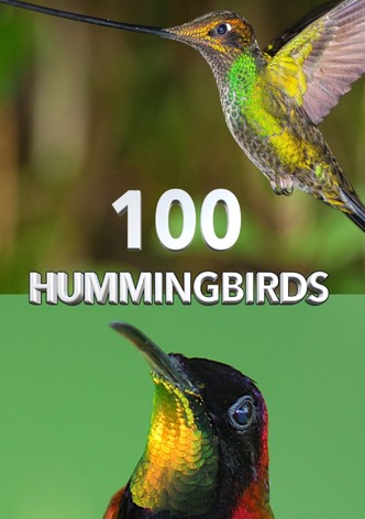 100 Hummingbirds