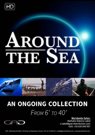 Amarrés aux Loyauté