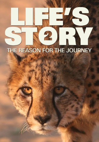 Life's Story 2: The Reason for the Journey