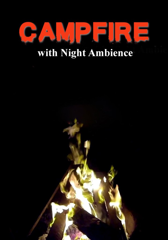 Campfire with Night Ambience