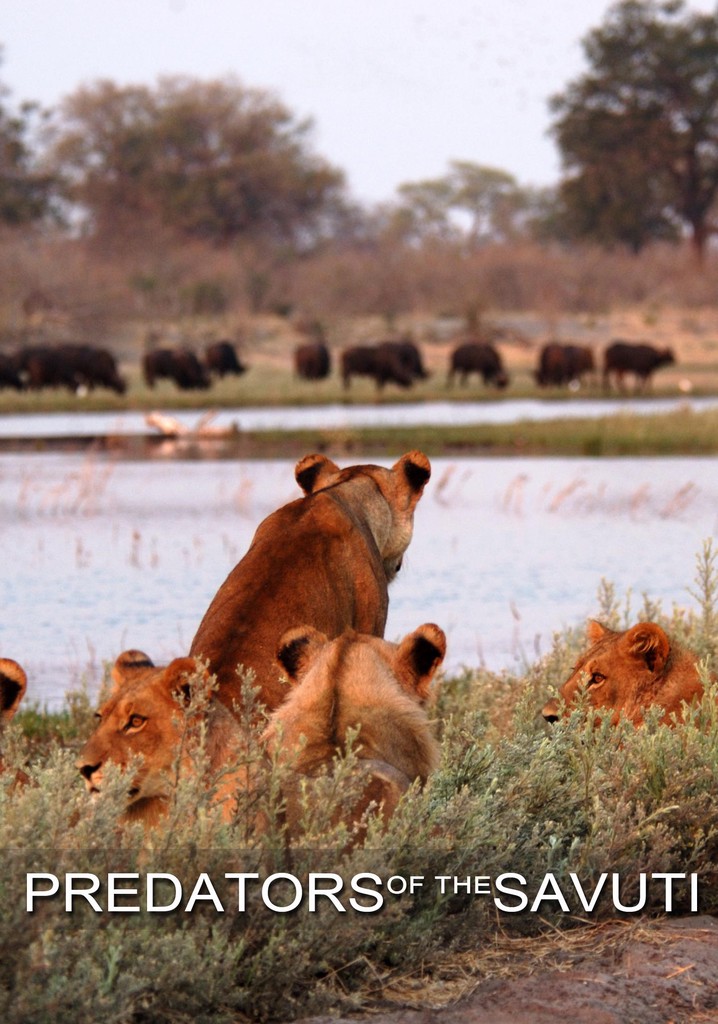 Predators of the Savuti