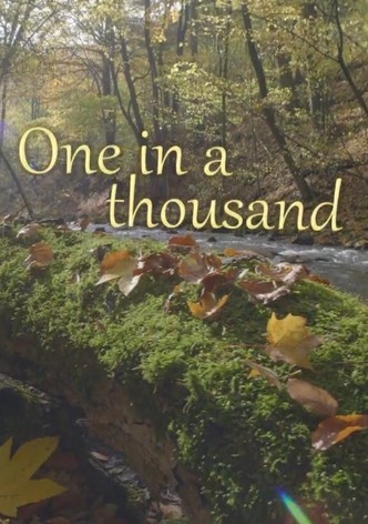 Tajemství lesního potoka