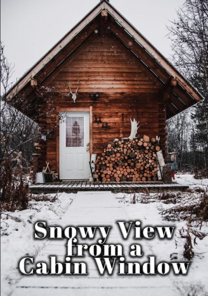 Snowy View from a Cabin Window